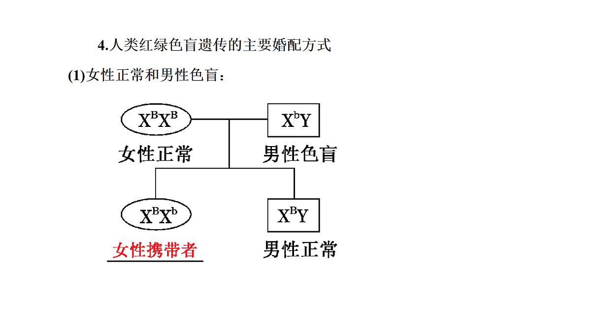 18039607第5页