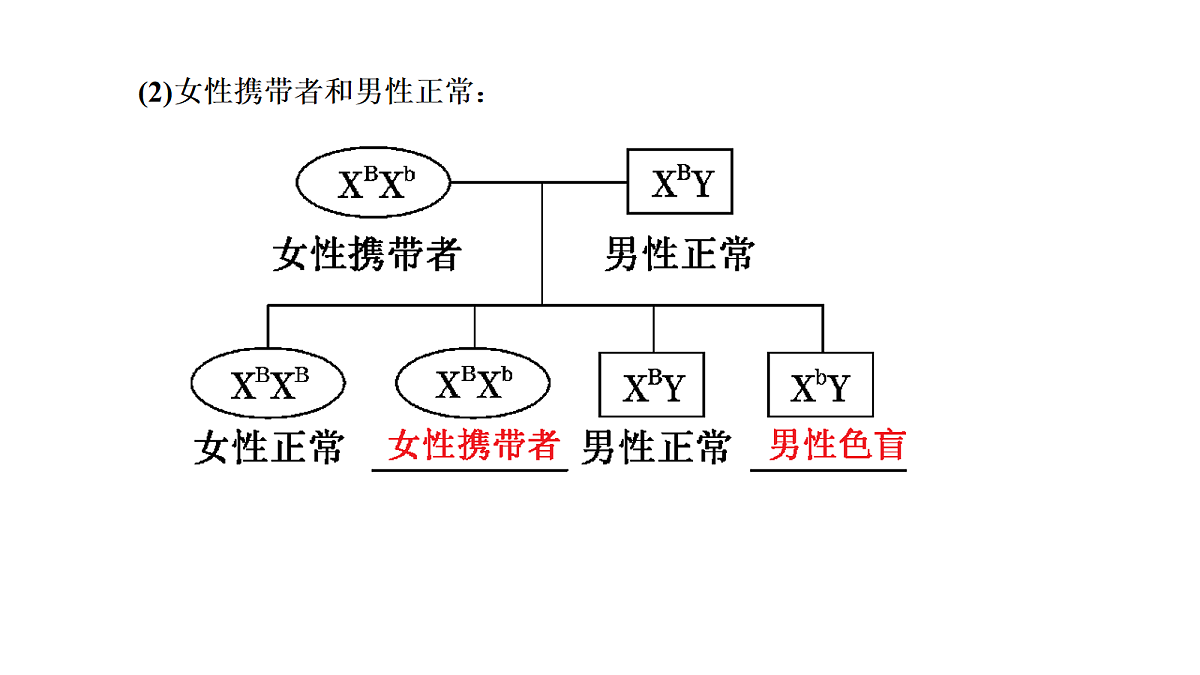 18039607第6页
