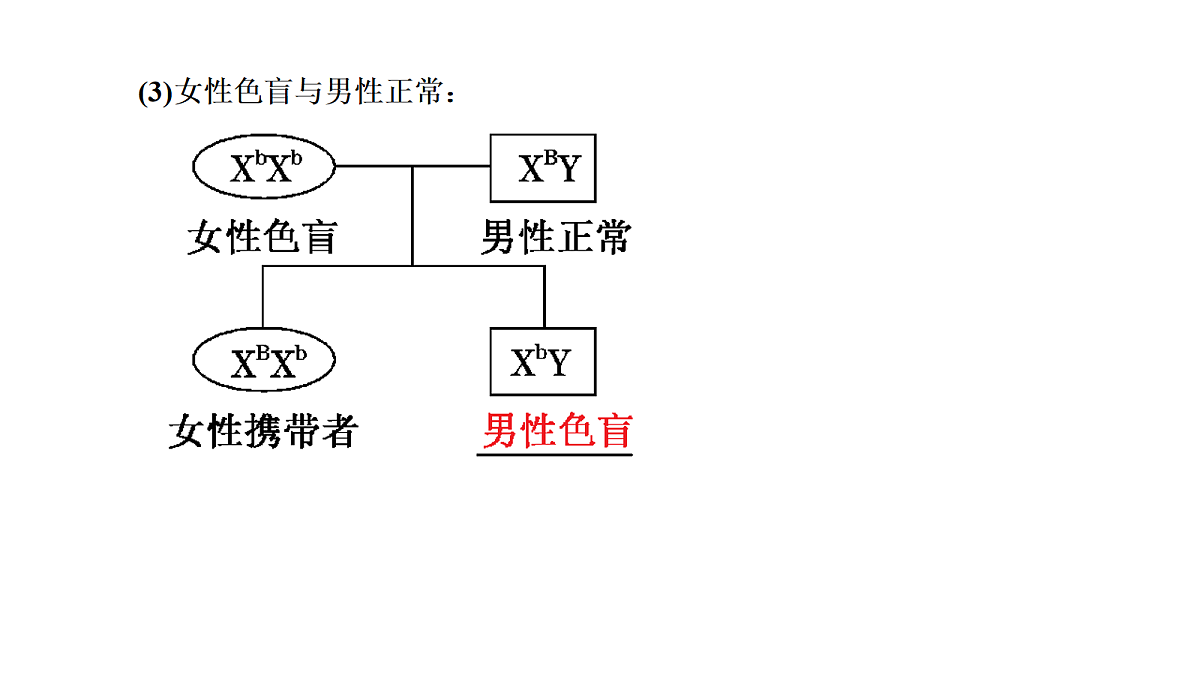 18039607第7页