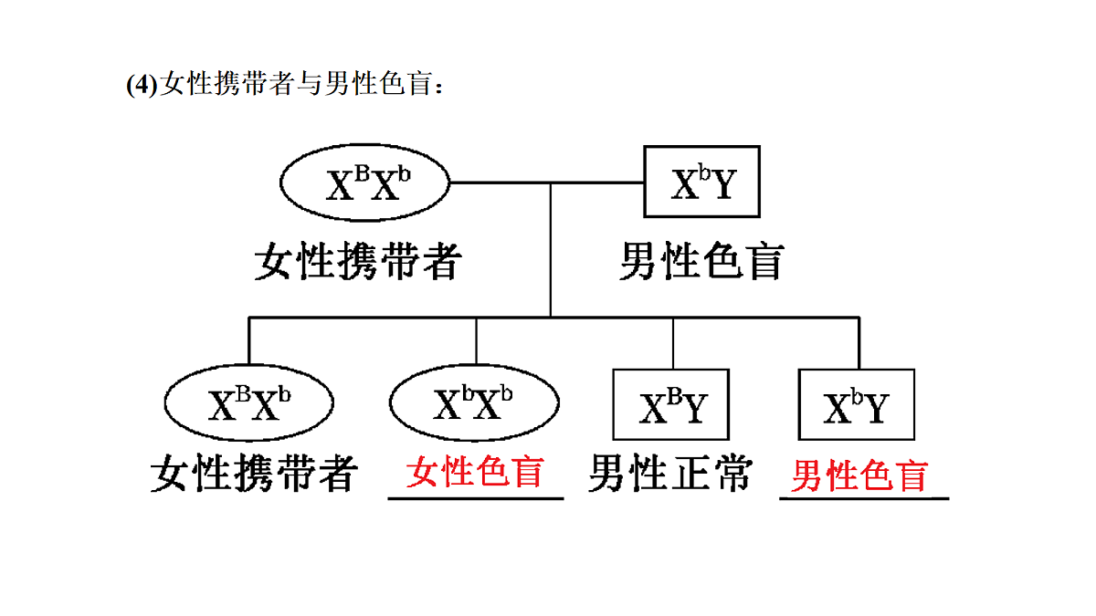 18039607第8页