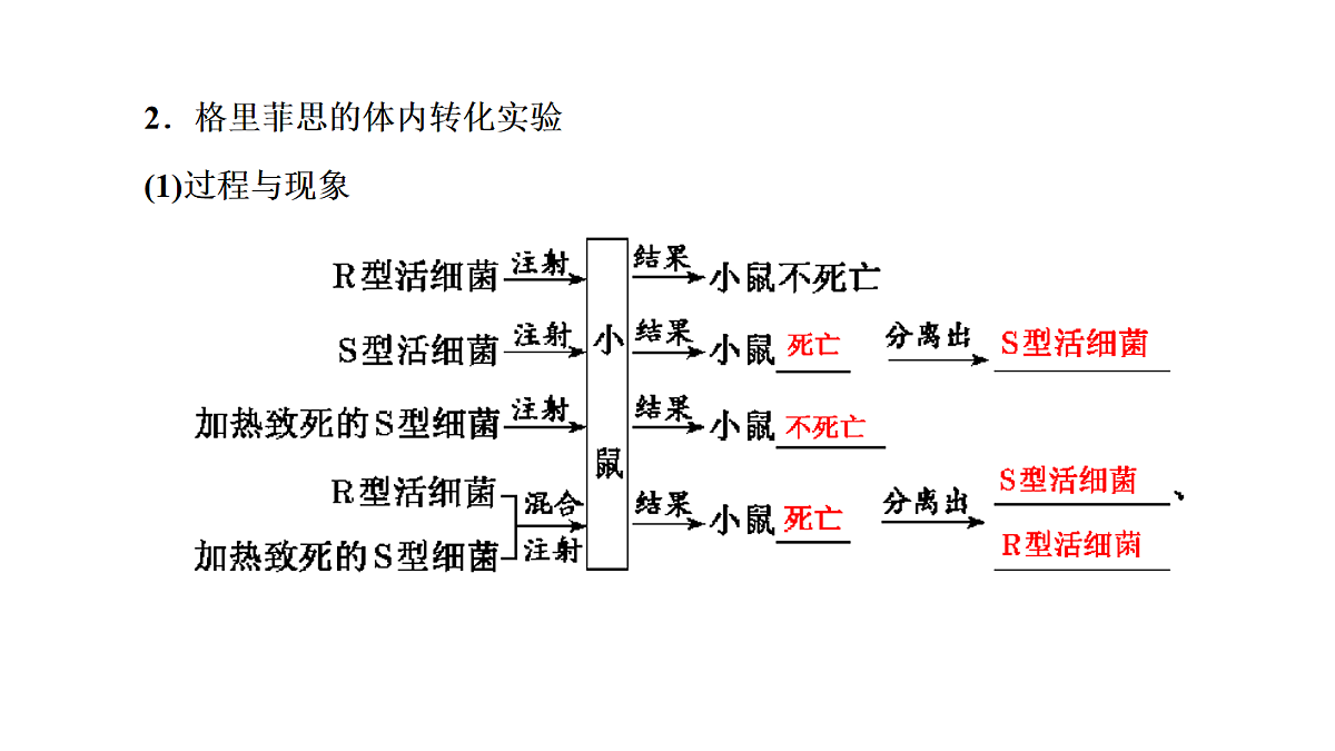 18039608第7页