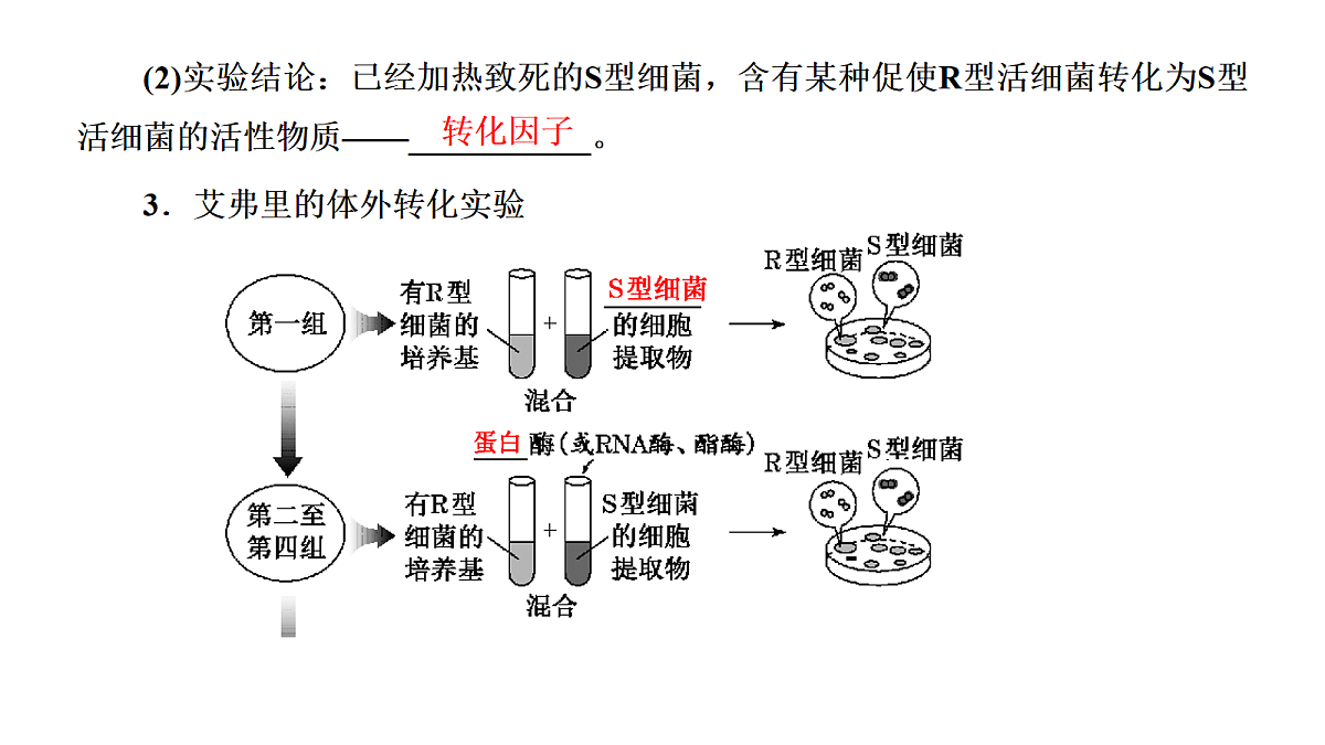 18039608第8页
