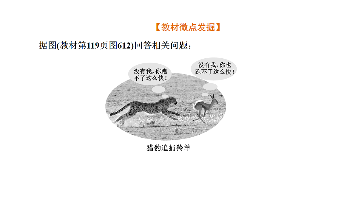 18039610第8页