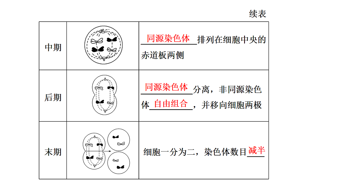 18040050第7页