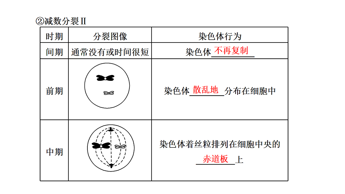 18040050第8页