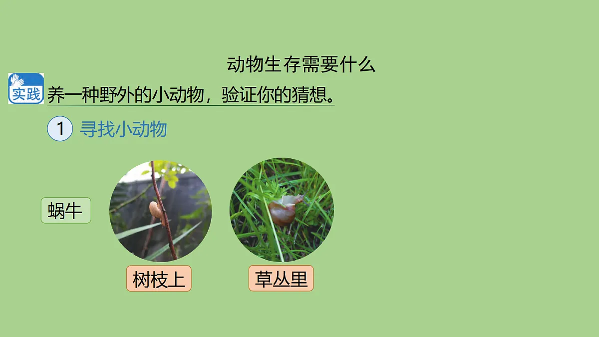 18040238第4页