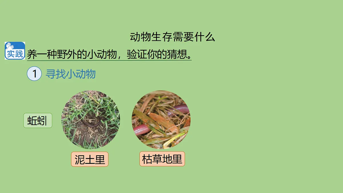 18040238第5页