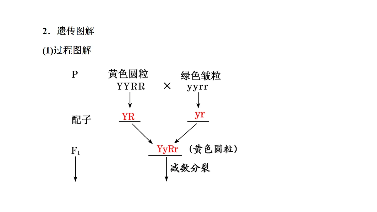 18040239第5页