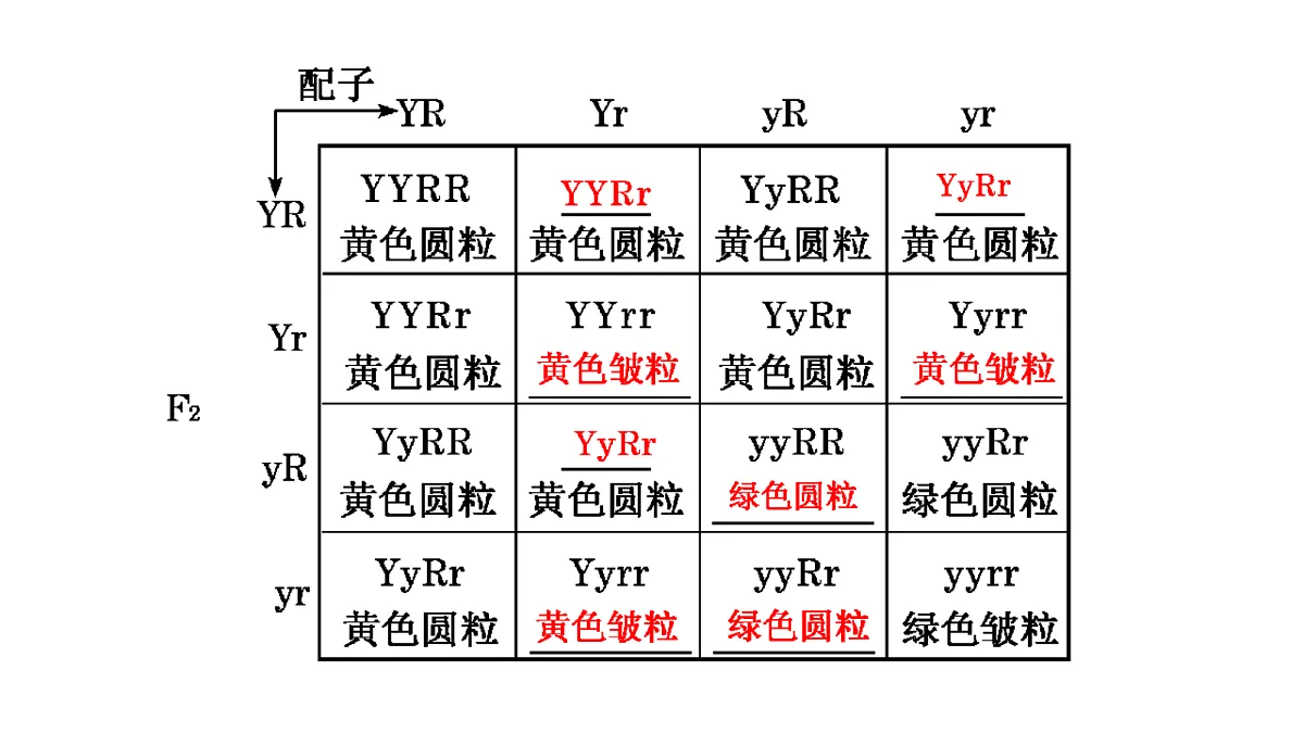 18040239第6页