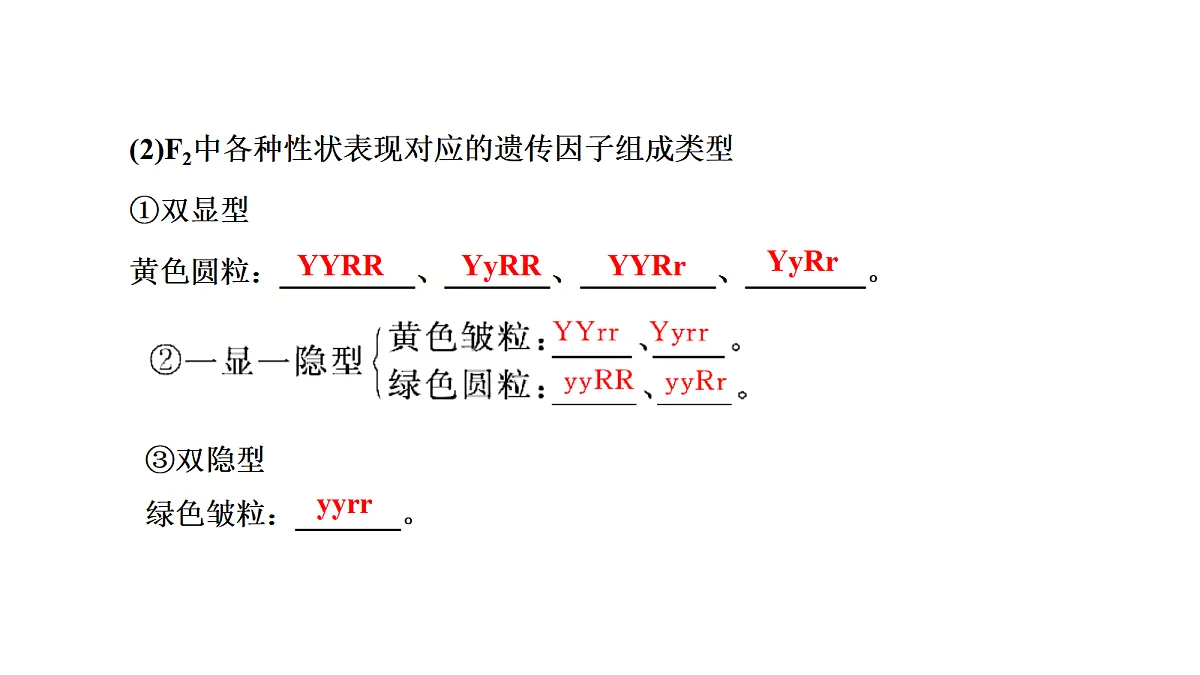 18040239第7页