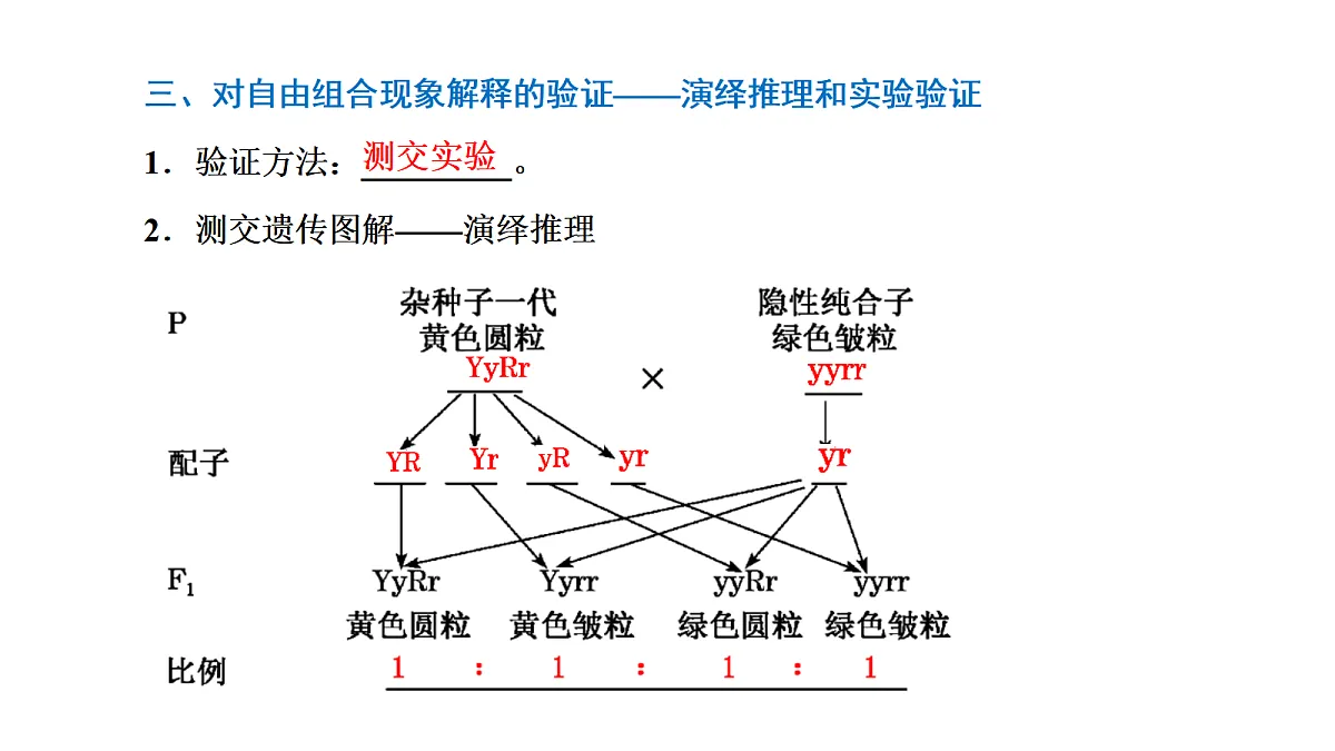 18040239第8页
