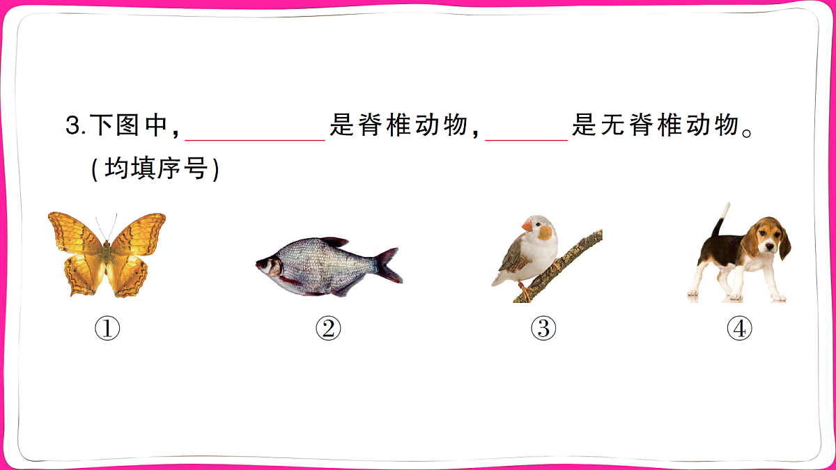 18040325第3页