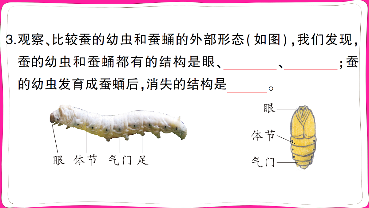 18040329第3页