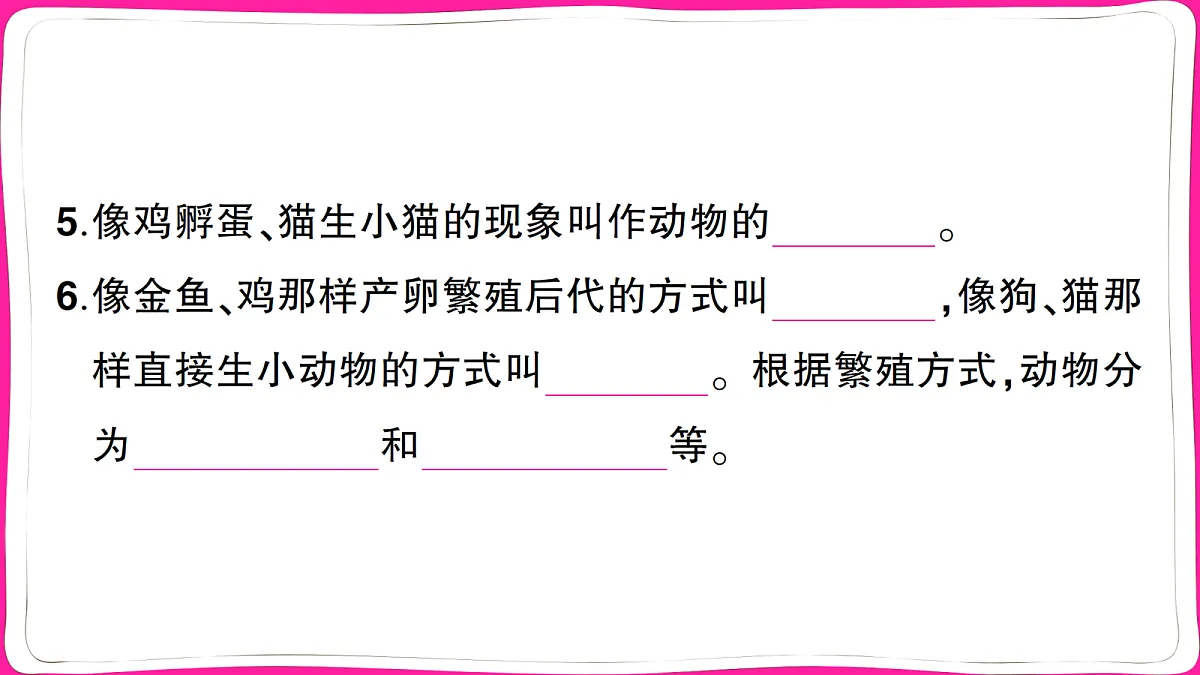 18040637第4页