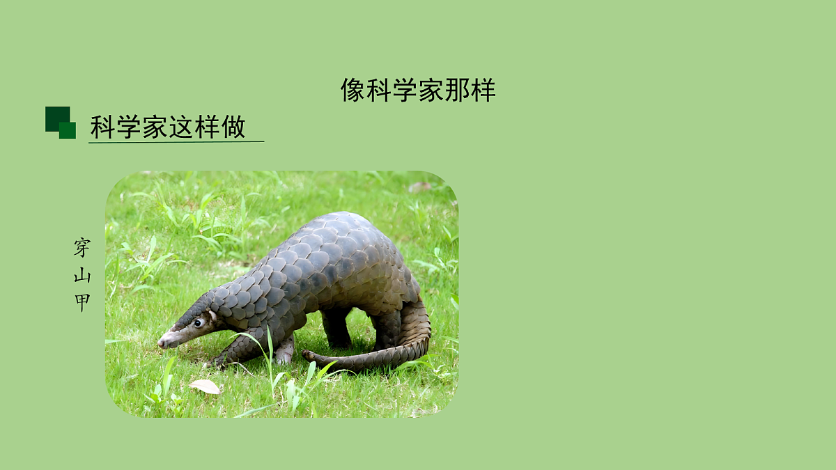 18040642第6页