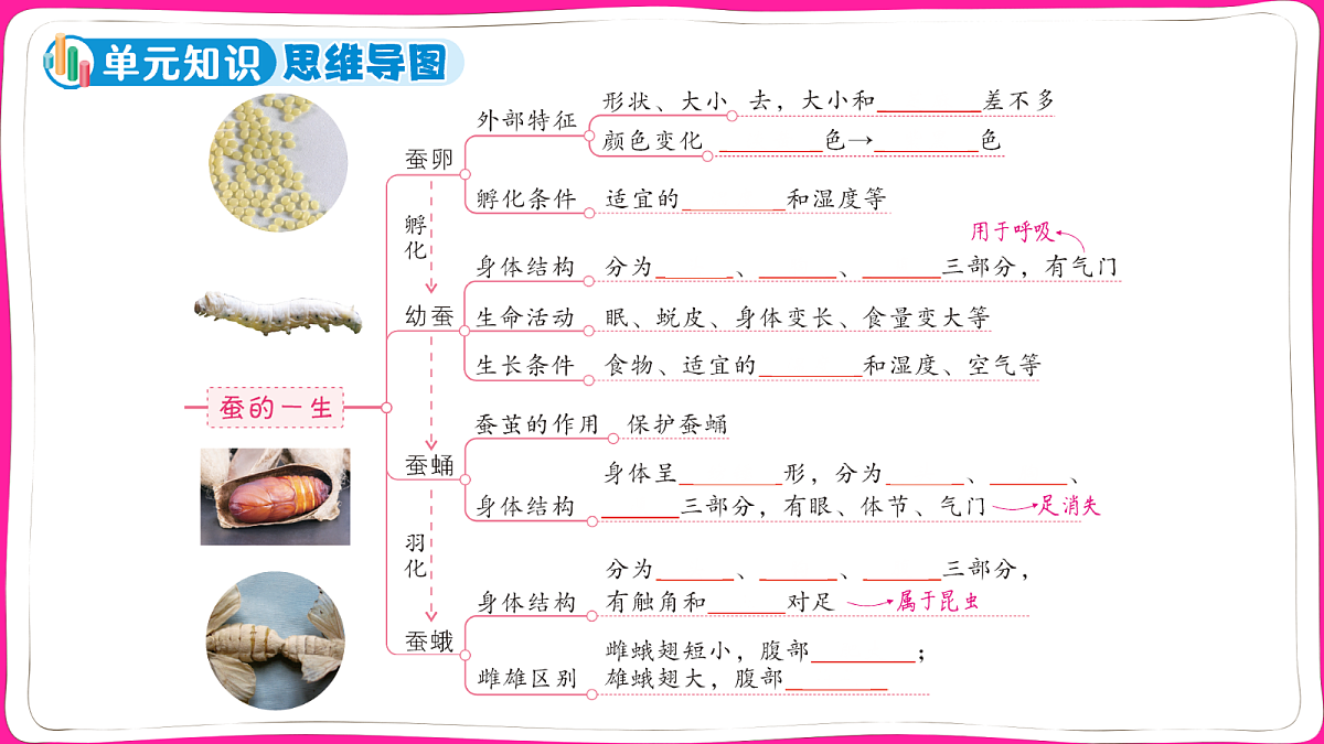 18040974第3页