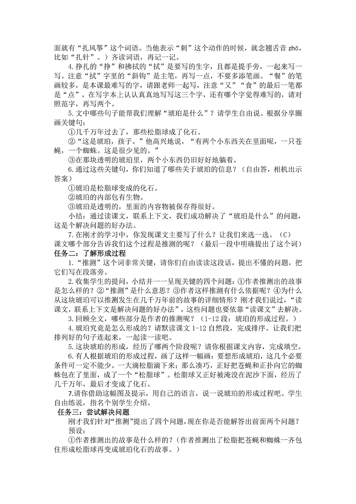 5 琥珀 教案第2页