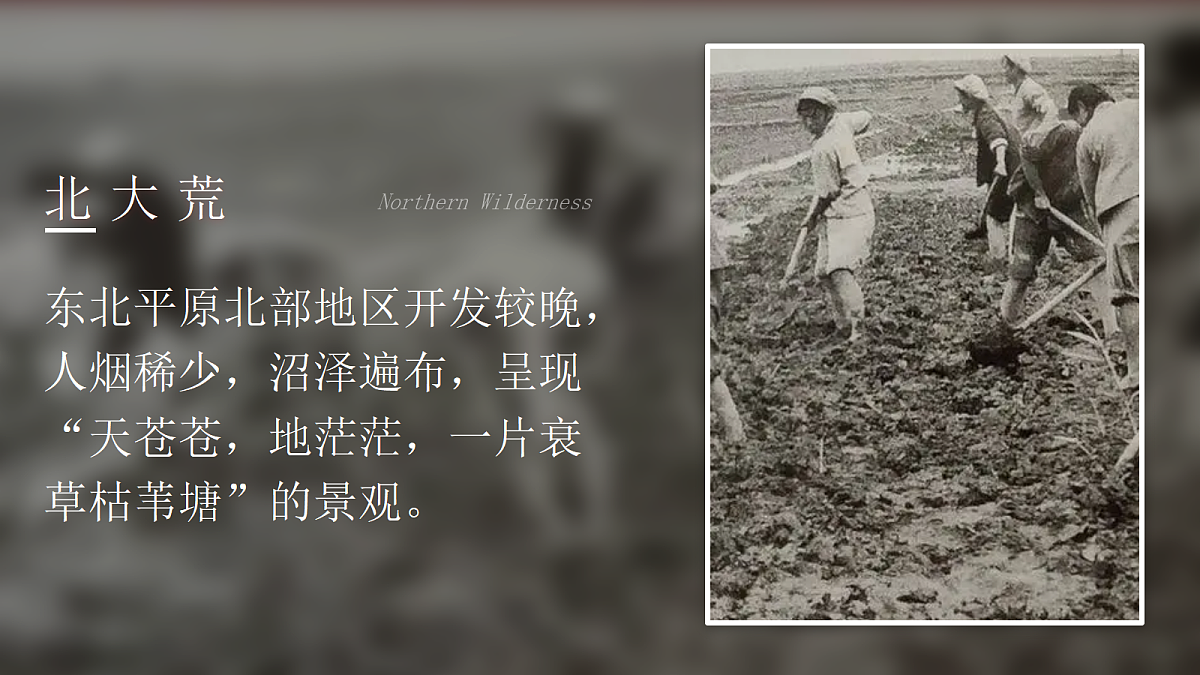 18044977第3页