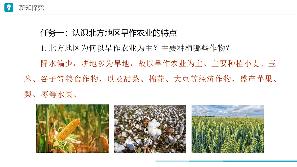 18045010第3页
