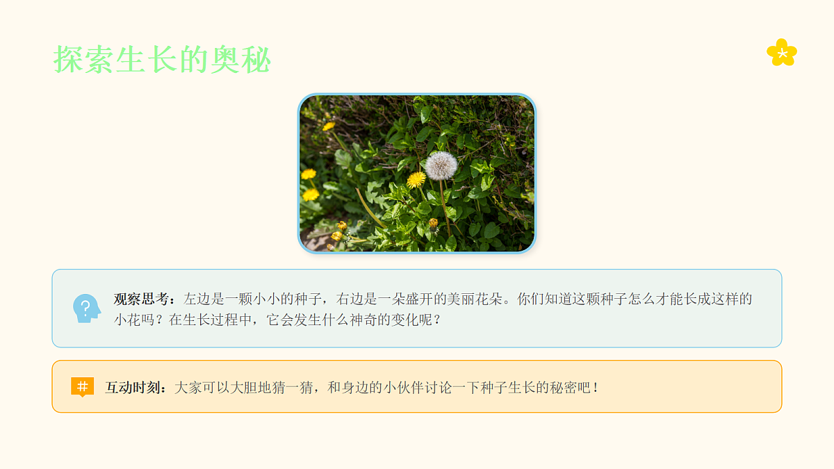 18046069第2页