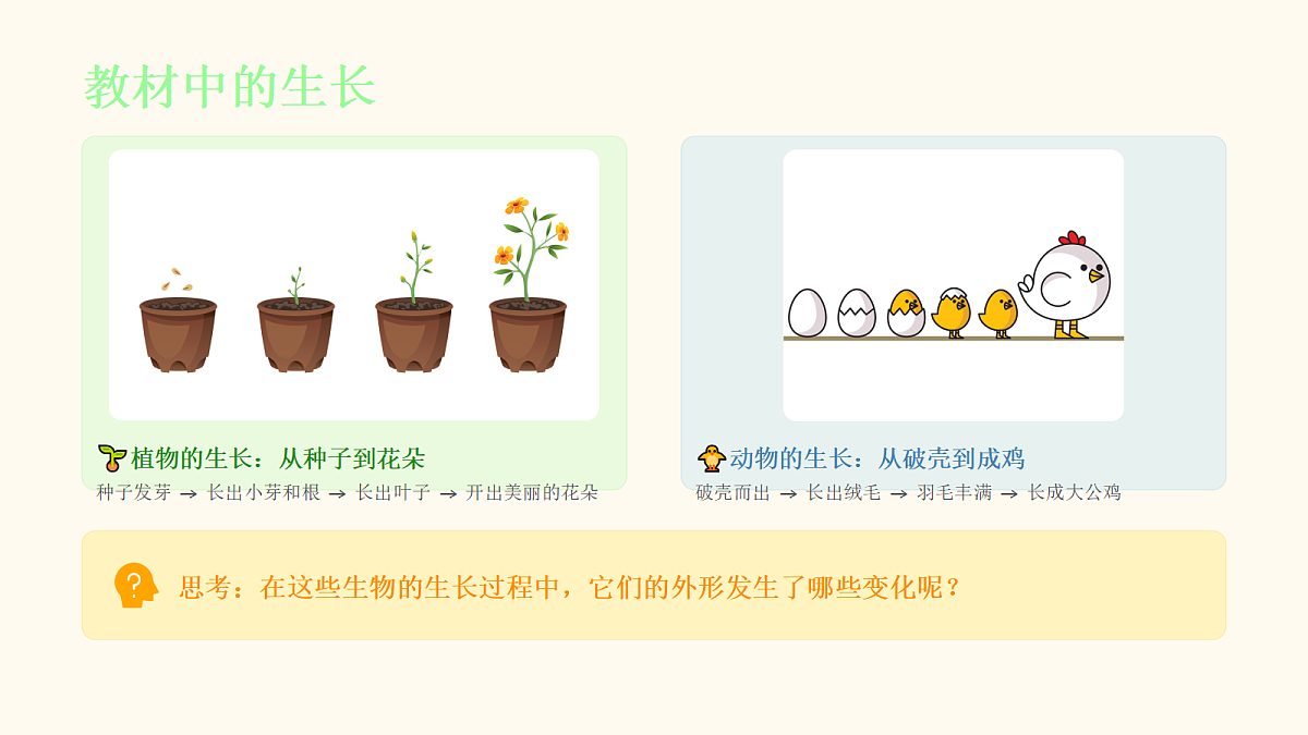 18046069第3页
