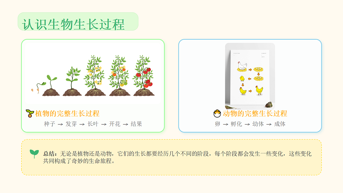 18046069第5页