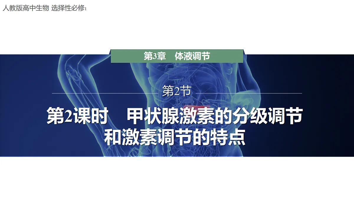 18047995第1页