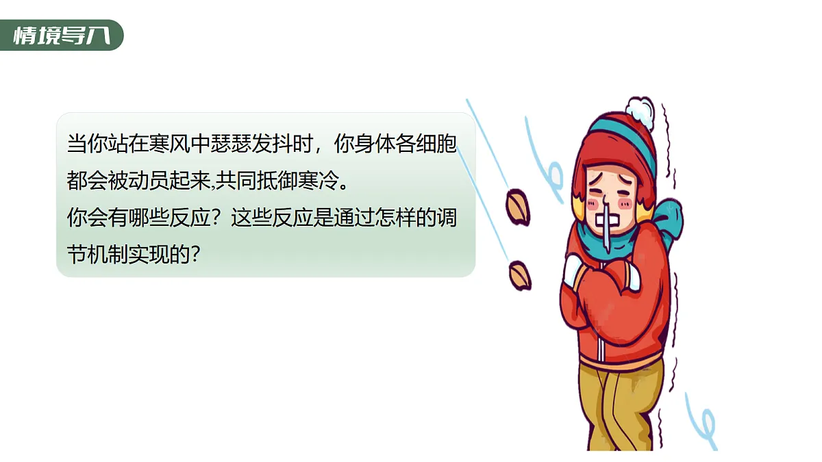 18047995第3页