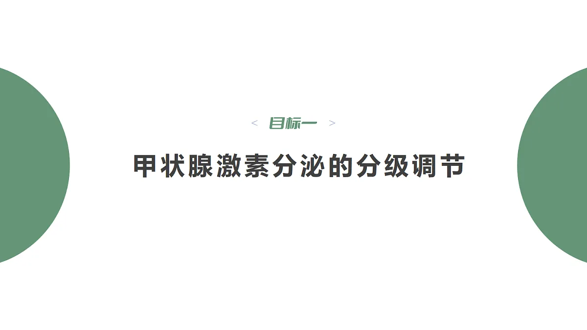 18047995第4页