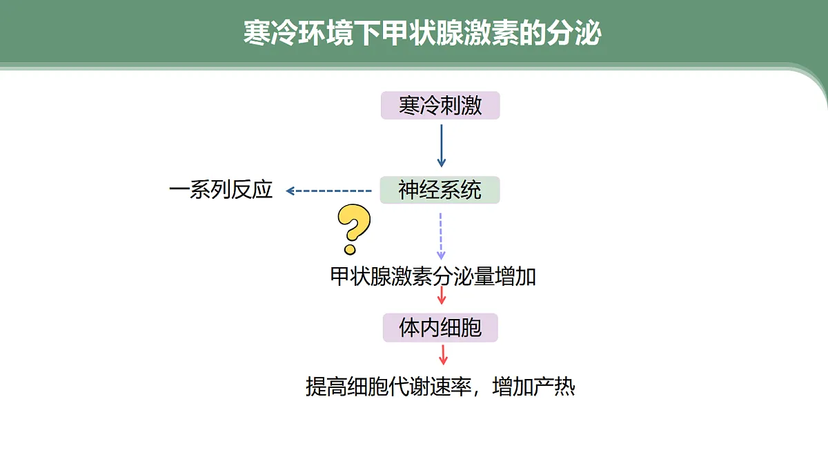 18047995第5页