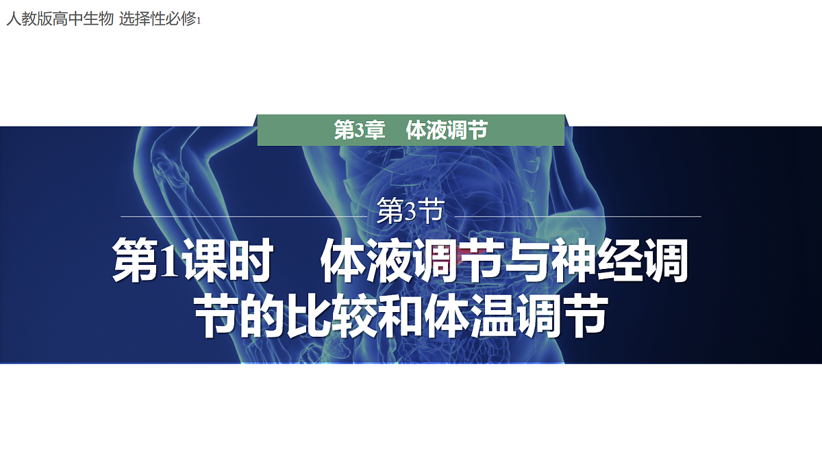 18047996第1页