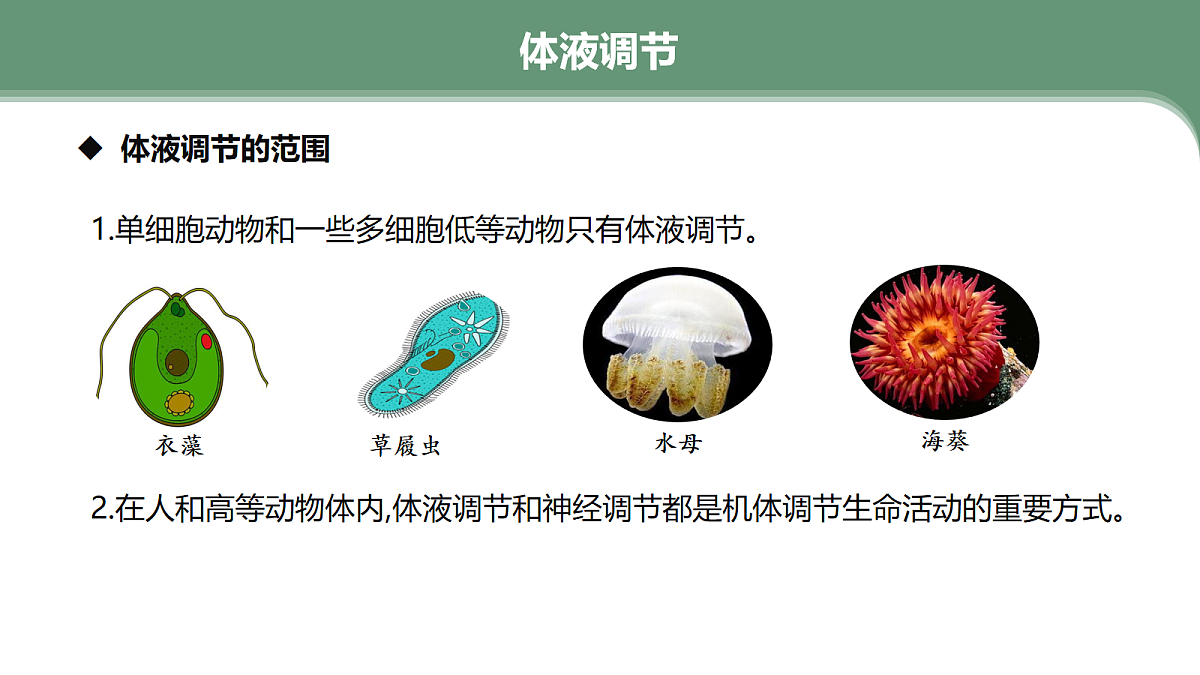 18047996第7页