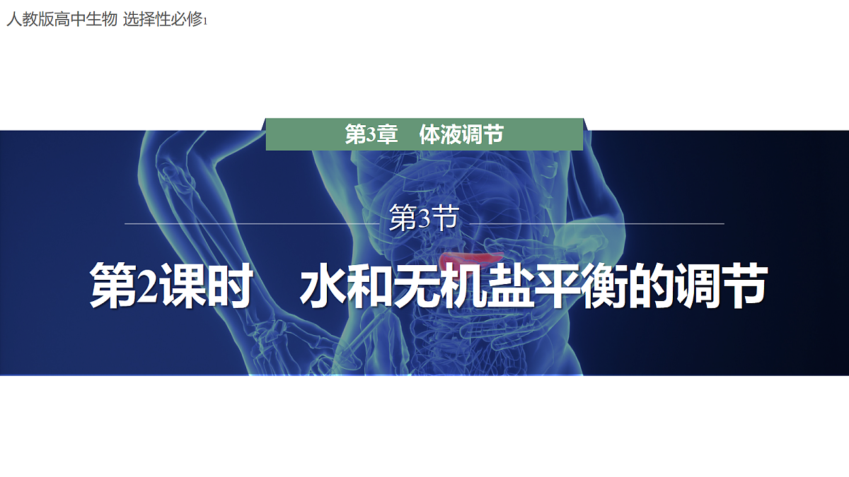 18047997第1页