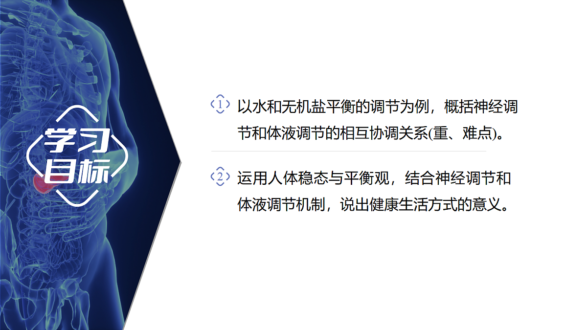 18047997第2页