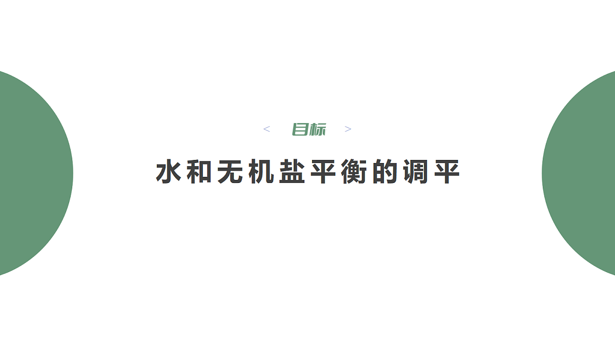 18047997第4页