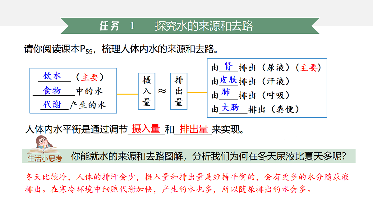 18047997第5页