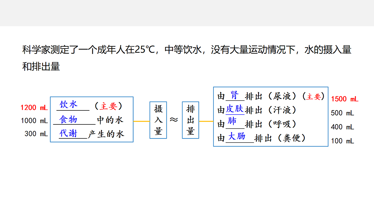18047997第6页