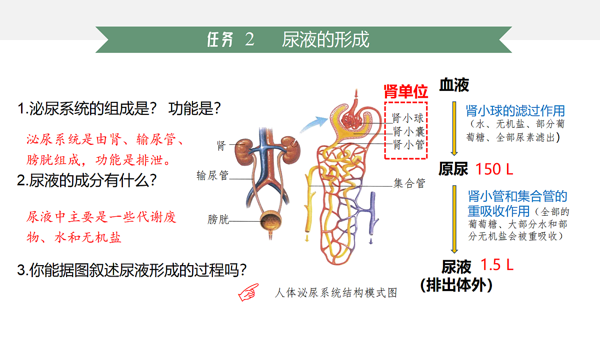 18047997第7页
