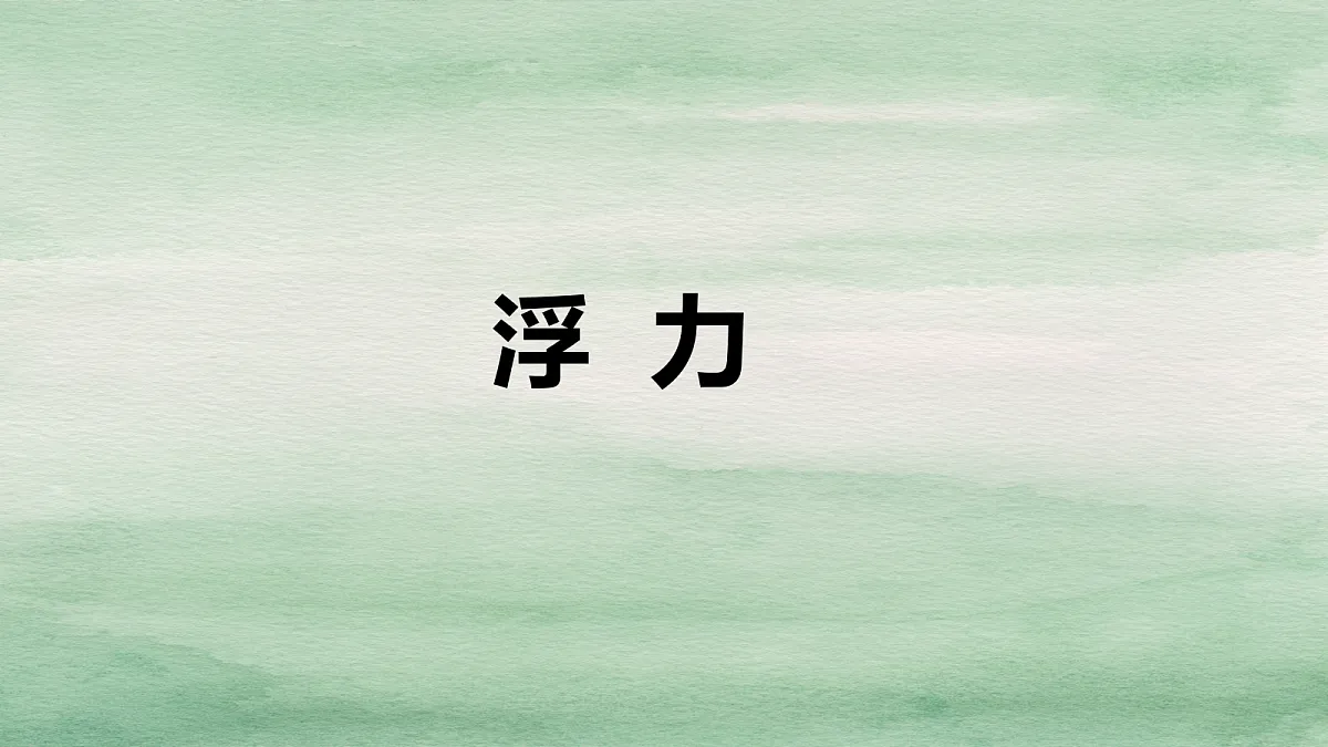 18048210第1页