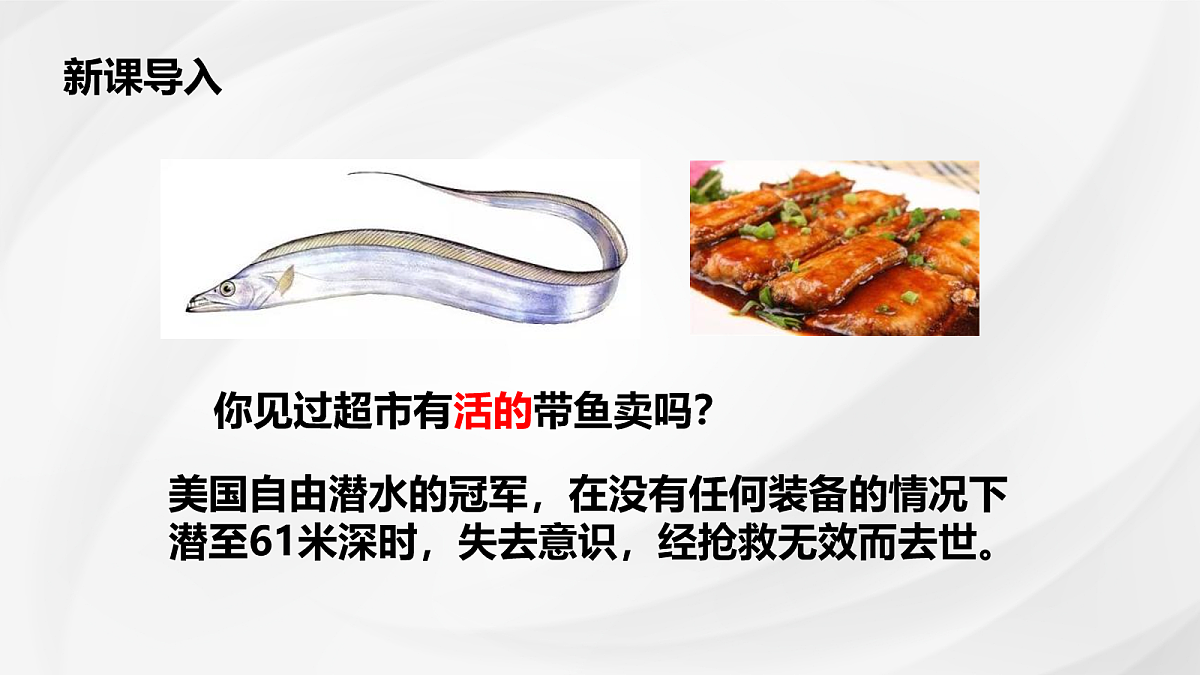 18048330第4页