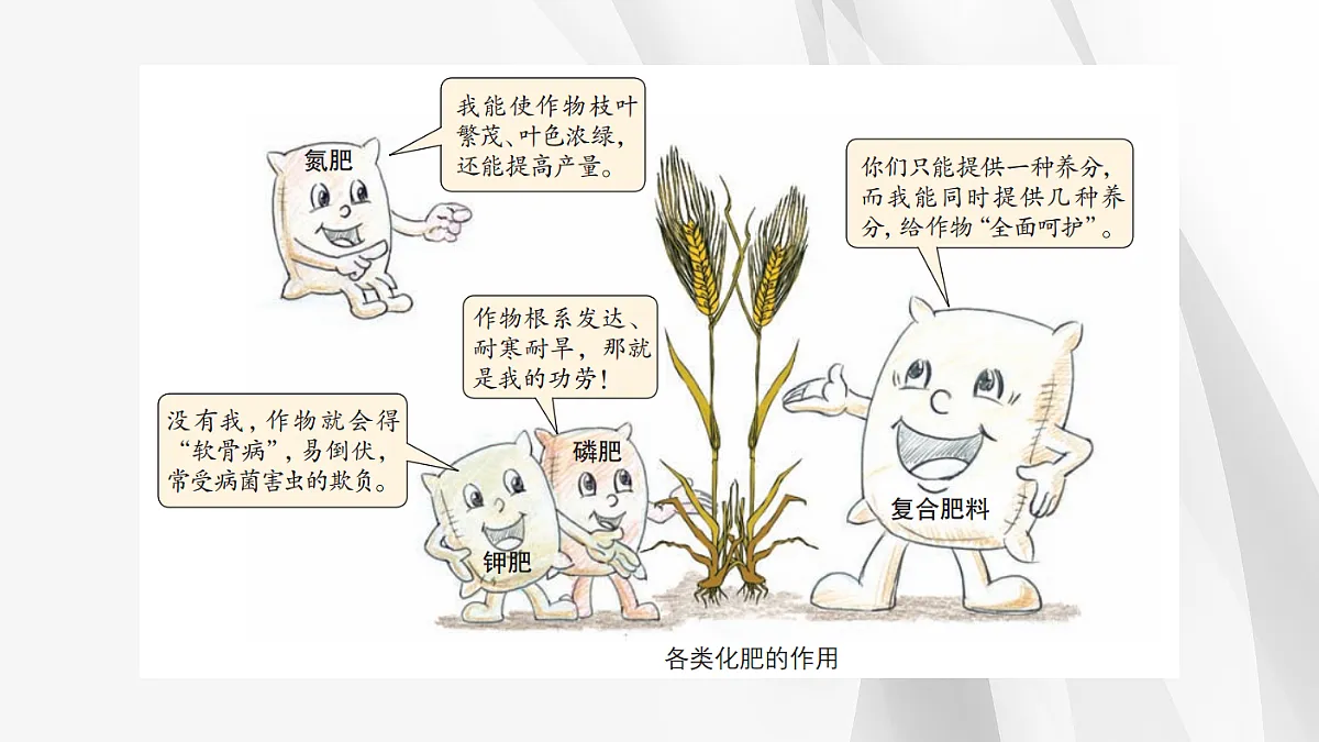 18049341第5页