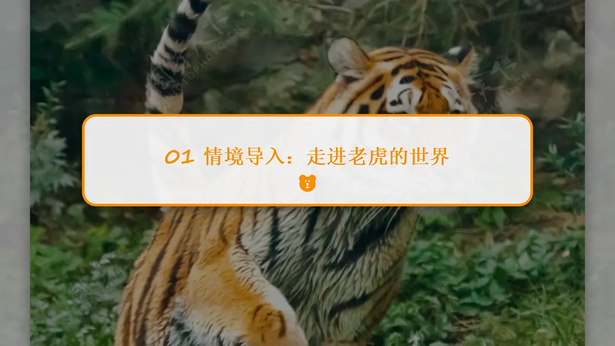 18052076第3页