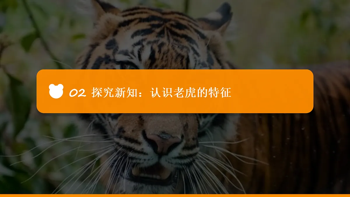 18052076第7页