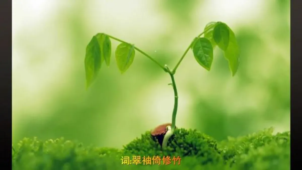 18052975第1页