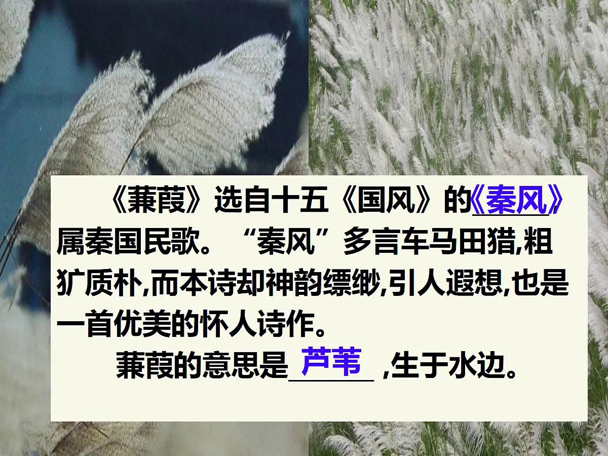 18054933第2页