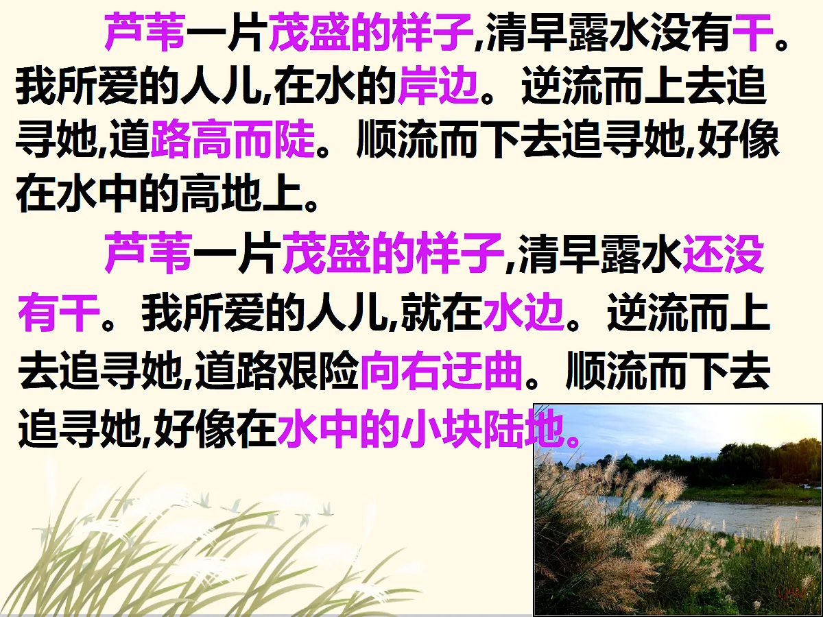 18054933第5页
