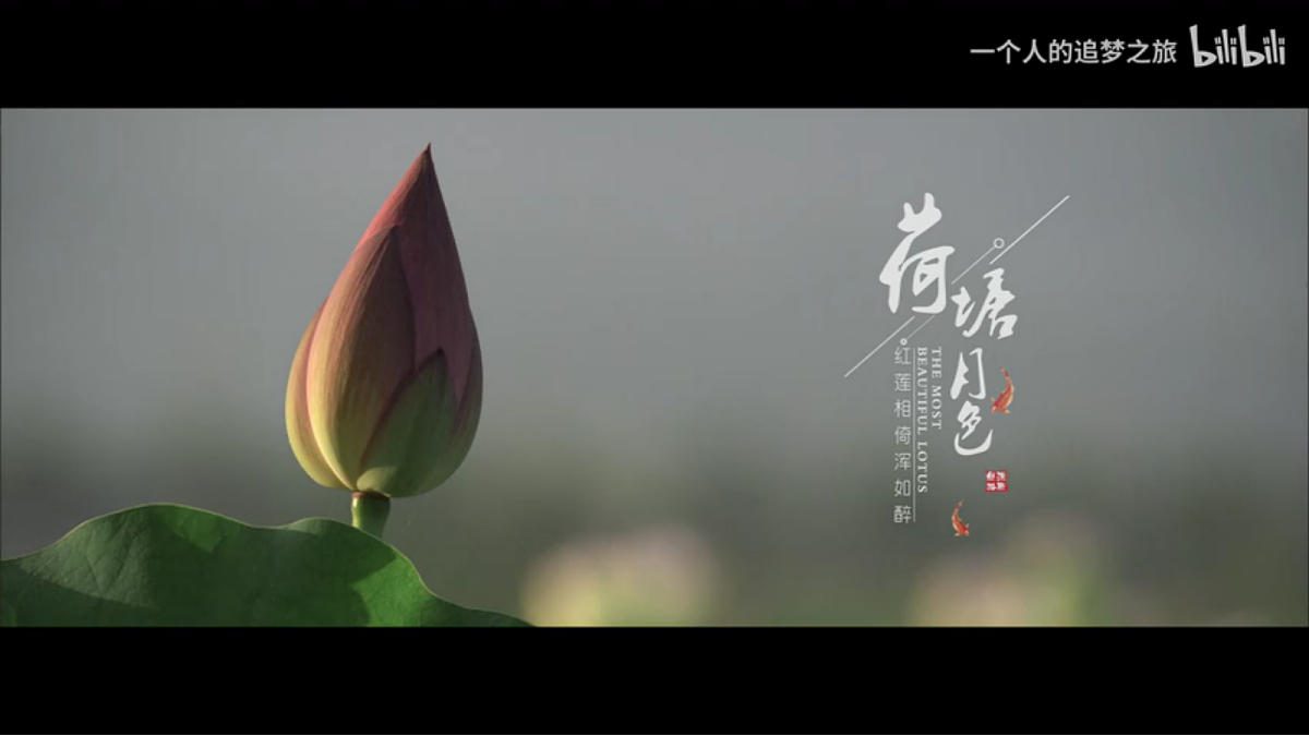 18055676第4页