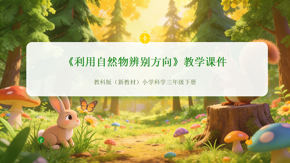 18056907第1页