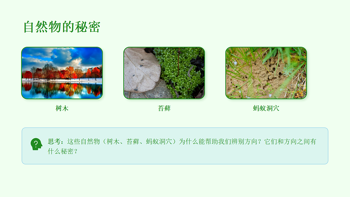 18056907第3页