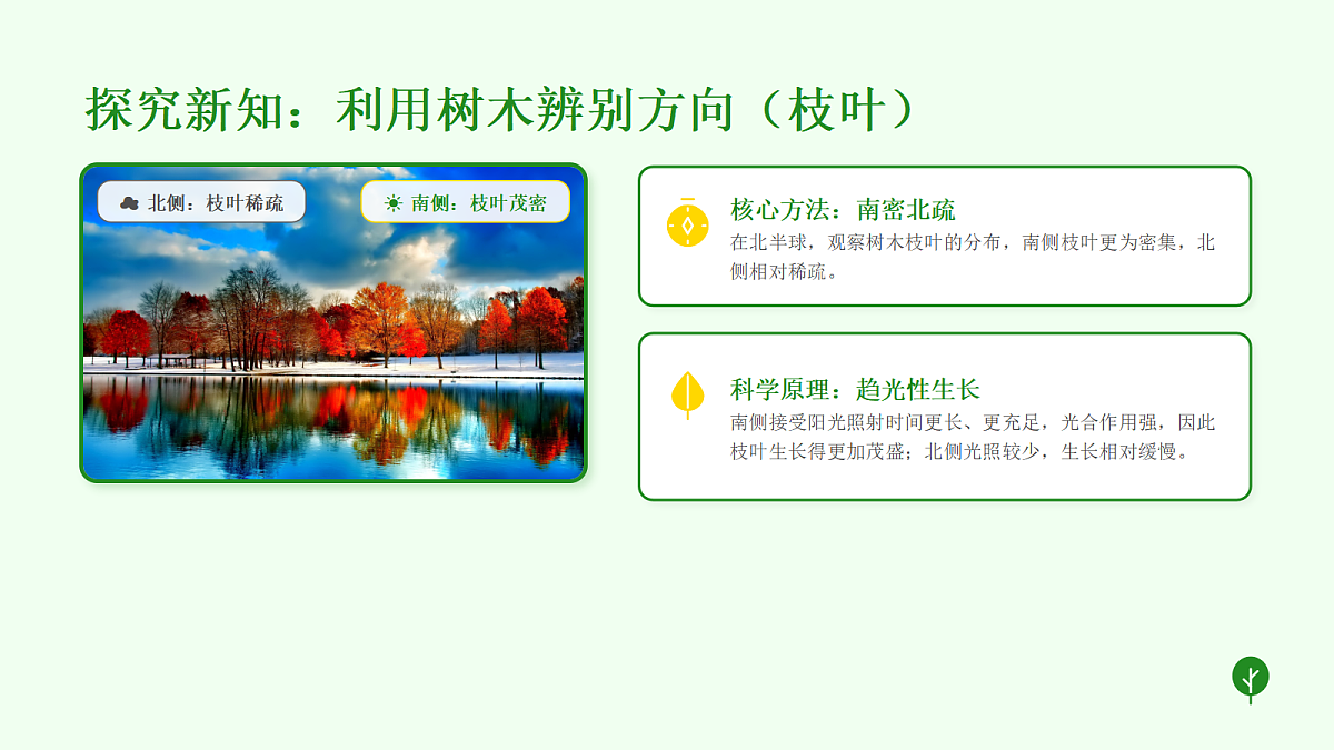 18056907第4页